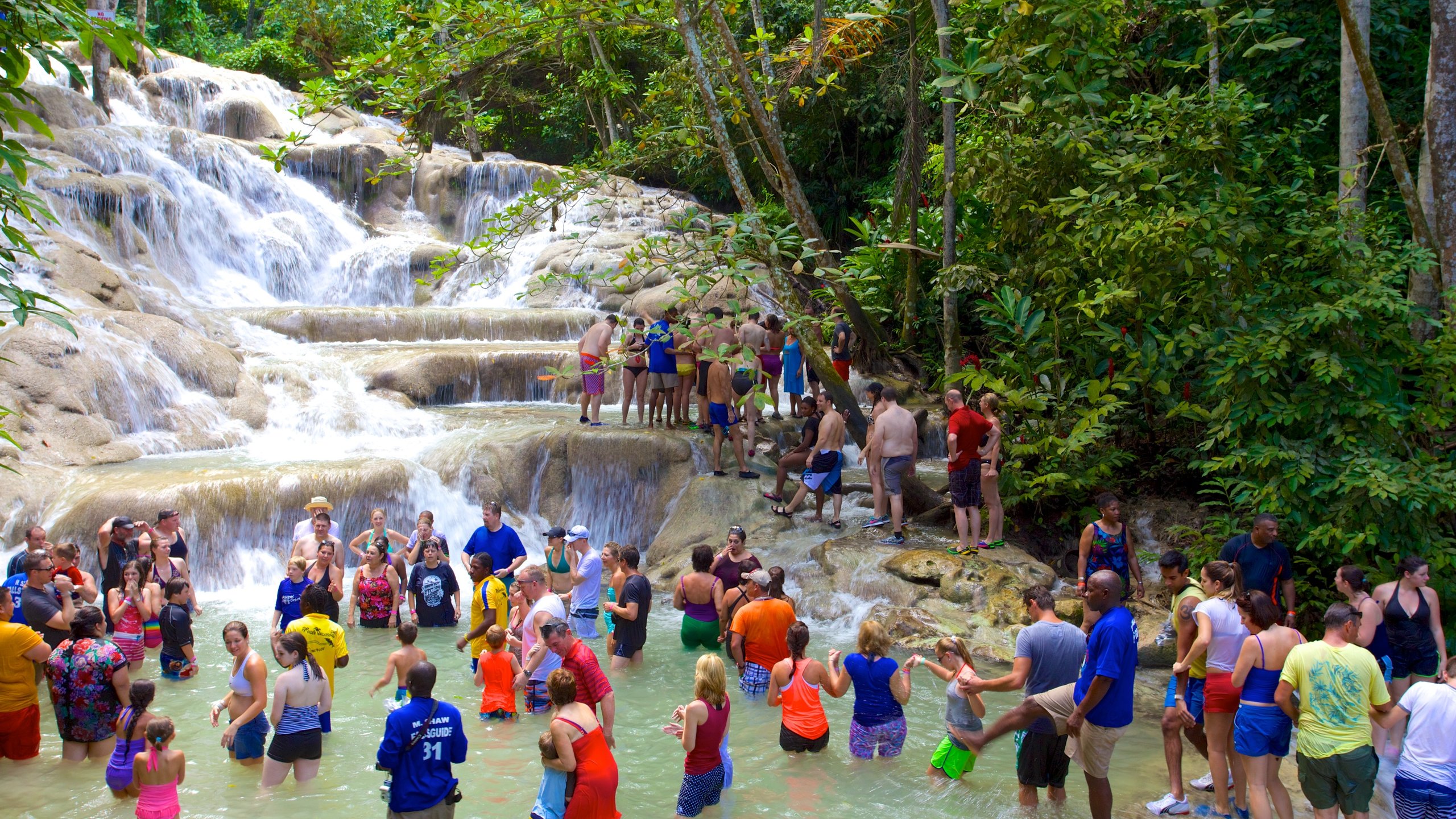 Dunn’s River Falls Tour Ocho Rios – Pure Vibes Tours Ja